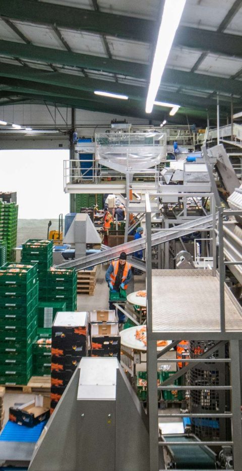 Arbeiter in Industrieanlage mit Förderbändern.