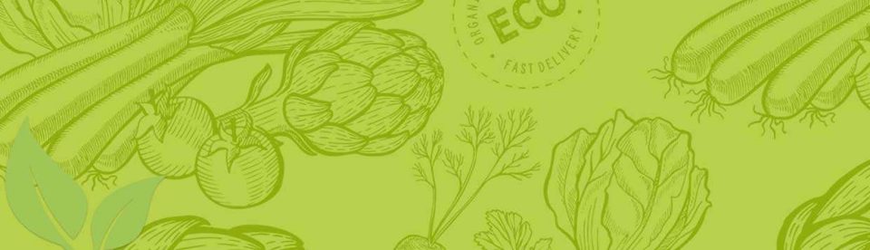 Grafik mit Bio-Gemüsezeichnungen und Eco-Schriftzug.