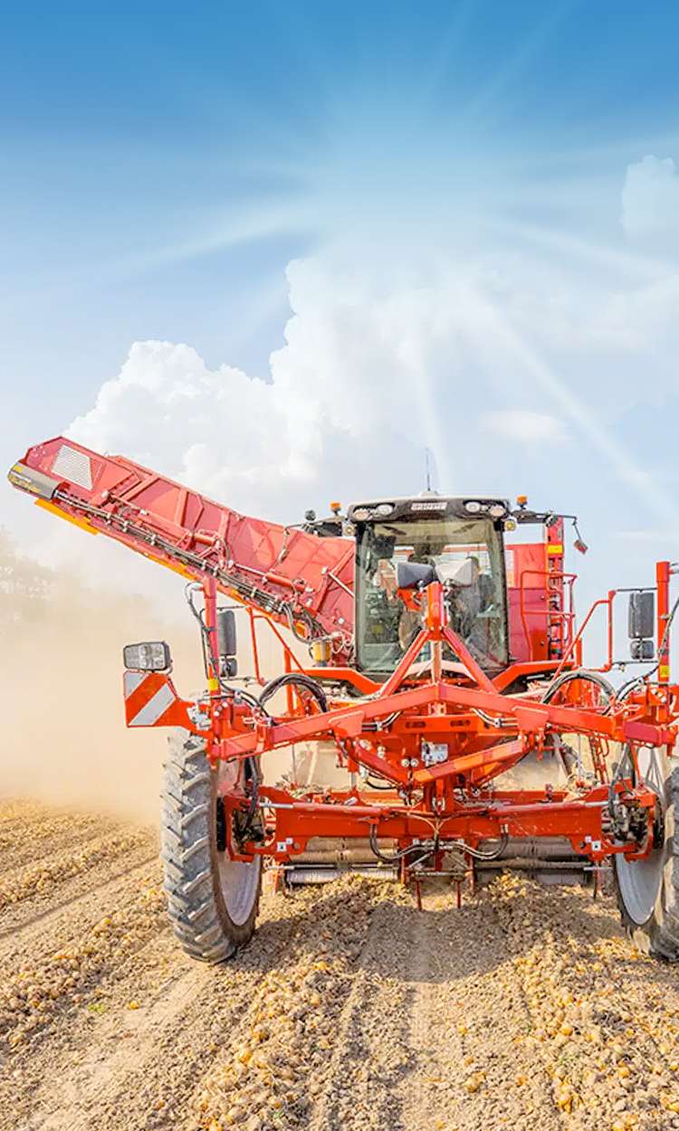 Landwirtschaftlicher Kartoffelernter bei der Arbeit.